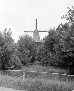 881102 Gezicht op de Molen Rijn en Zon (Adelaarstraat 30) te Utrecht, vanaf het Zwartewater.